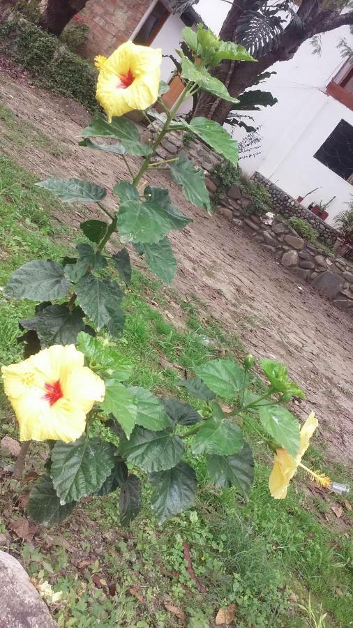 Residencial Valle Sagrado-Vilcabamba Buitenkant foto